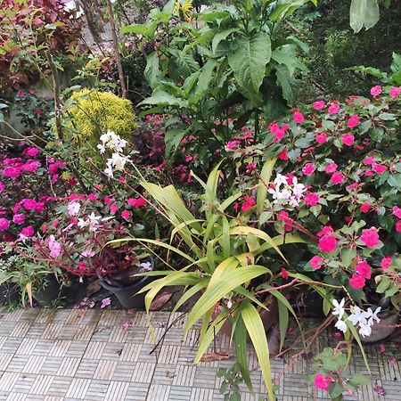 Soly'S Villa Homestay Munnar Ngoại thất bức ảnh