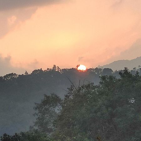 Soly'S Villa Homestay Munnar Ngoại thất bức ảnh