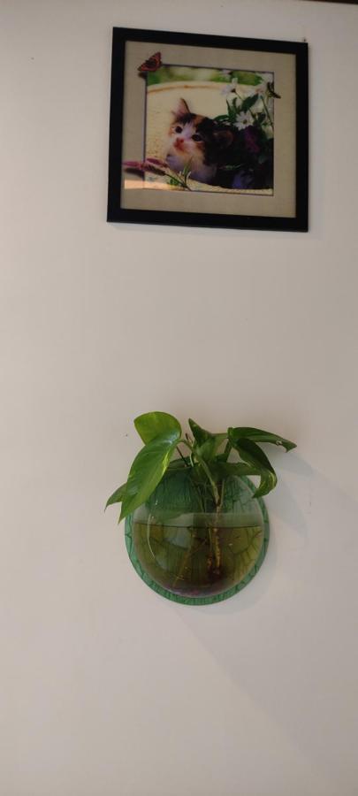 Soly'S Villa Homestay Munnar Ngoại thất bức ảnh