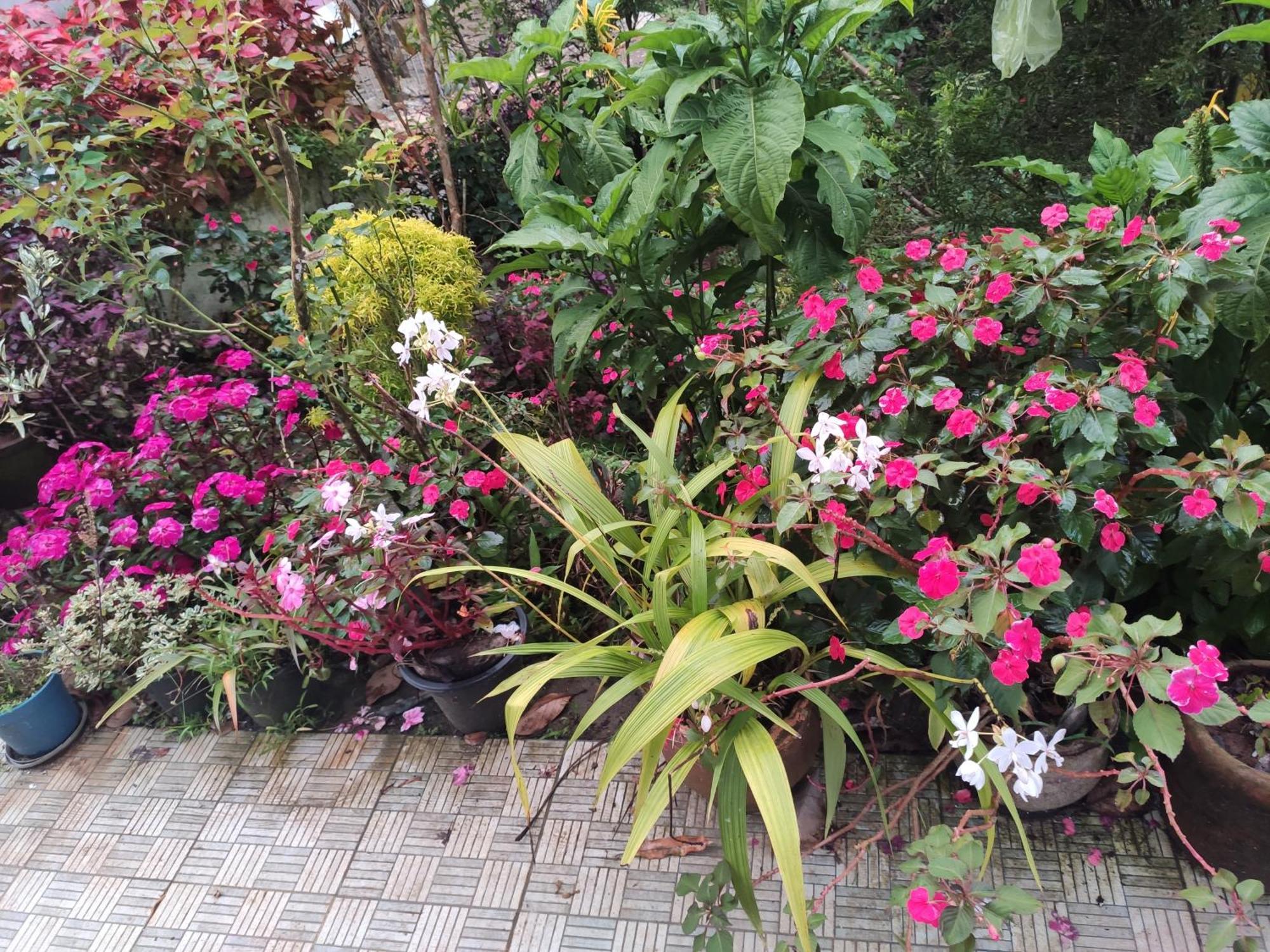 Soly'S Villa Homestay Munnar Ngoại thất bức ảnh