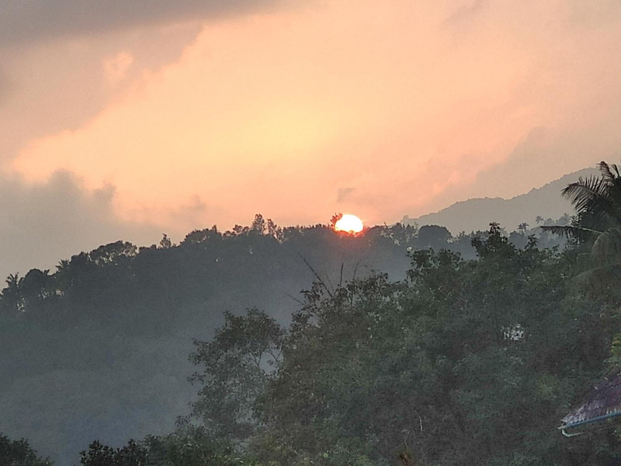 Soly'S Villa Homestay Munnar Ngoại thất bức ảnh